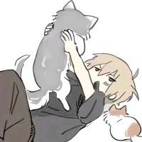 HHLBBCNO (@oncbblhh) 's Twitter Profile