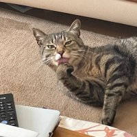 tkmfpv (@tkmfpv) 's Twitter Profile