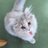 connさんのプロフィール画像