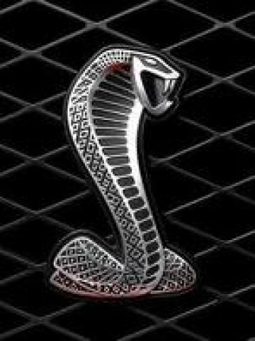 dcwrobel03's profile picture. 