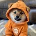Crypto_Paul | Lingo (@paulvarivoda) Twitter profile photo Crypto_Paul | Lingo (@paulvarivoda) Twitter profile photo