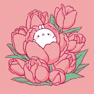 icarus_vikarus's profile picture. @IdolShowdown !!!!!
🌺🌃