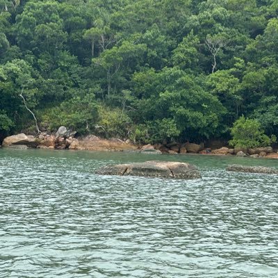 alineans3's profile picture. 