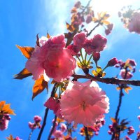 merci (@mery5round) Twitter profile photo