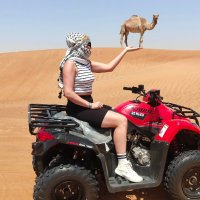 Dubai Desert Safari Tours(@DesertSafariT) 's Twitter Profile Photo