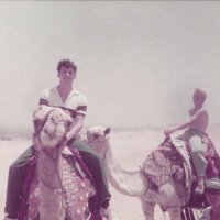 Andrew Pitoniak (@pitoniakan3581) 's Twitter Profile