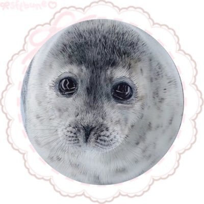 i adore pinnipeds, especially the wamon seal yo ♡ ot12 orbit ♡ 私はワモンアザラシ「ようちゃん」のアメリカ人ファンです。アザラの親切に感謝しています。 ピン留めした私の投稿をお読みください。 𝜗𝜚 shedtwt dni