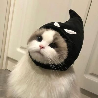 𝑷𝒚𝒎 シ 💥さんのプロフィール画像