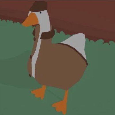 schtvk's profile picture. 