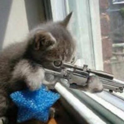 Sniper Cat - $SNAT
one shot, one kill. jeets eliminated.
DALhKCAinrQAF8jnJttVTo8MmBoCbQMryLWh9ZfYfRt3