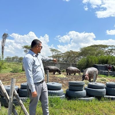 Yasir2703's profile picture. ....