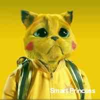 Smart Princess (@ssmartpriinces) 's Twitter Profile