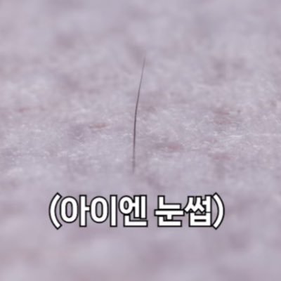 ina________y's profile picture. 근육토끼 이또아《BTS🐰 straykids🦊 ZB1🐹🦋 treasure🤖🦁 RIIZE🐸 송강》