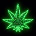 Catchy Weed Podcast (@CatchyWeed41876) Twitter profile photo