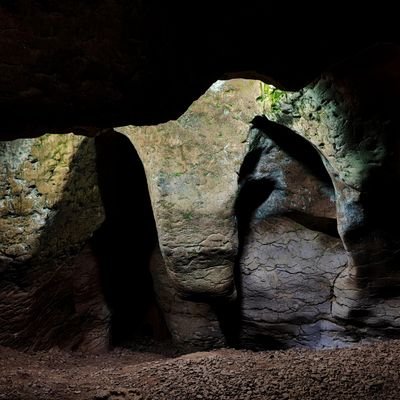 Museu de Moià i les Coves del Toll. 38 milions d'anys de història al ben mig del Moianès 🪸🐻🦴