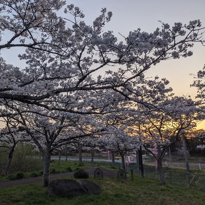 39歳　主に土曜か週によっては日曜夕方から翌朝まで活動してます。