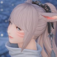 あんな(@ffxiv_anna) 's Twitter Profile Photo