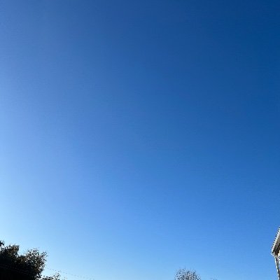 nuko0988's profile picture. おすすめに流れてきたネコ動画＆ネコ画像に無言いいね失礼します🐈