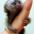stevo_wilf's profile image