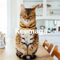 K (Hiro) (@nervousnya) 's Twitter Profile