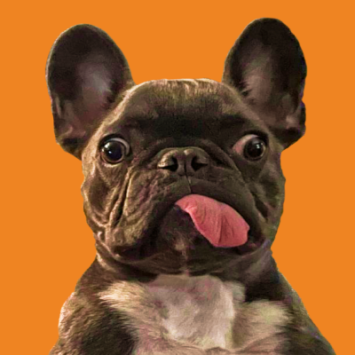 JamesWoofCoin Profile Picture