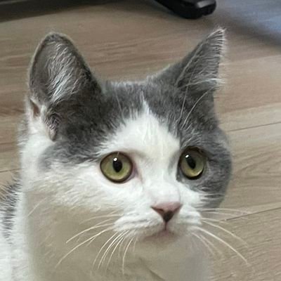 FCTOKYO_09's profile picture. 2023年4月〜 ホームはリーグ、カップ戦全試合、アウェーは行ける時行ってます/無言フォローすみません