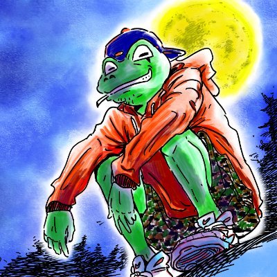 88SillyFrog Profile Picture