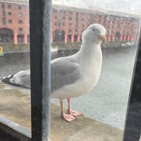 Lmck (@lmckin1) 's Twitter Profile