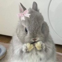 piaopiao (@piaaopiao) 's Twitter Profile