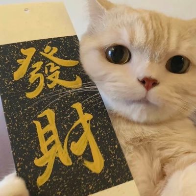 猫神(@zhao_p42510) / X 猫神(@zhao_p42510) / X