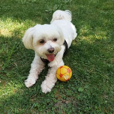 topaktasaydin's profile picture. 