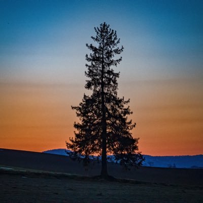 カメラにハマりました📸写真撮りながら旅するのとても楽しい！写真好きな人でもそうでない人でも仲良くしてもらえると幸いです。