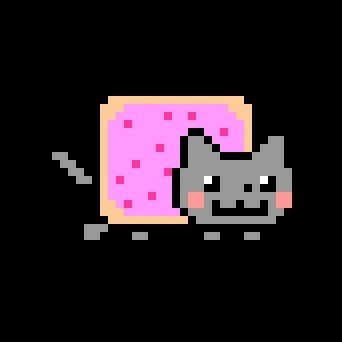 firascript's profile picture. "firavoyage"