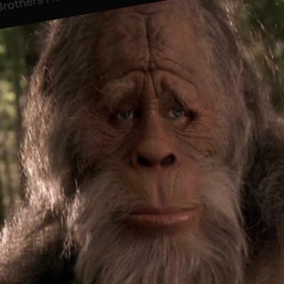 yinzerbigfoot Profile Picture