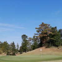 そら (@gogogolfing) 's Twitter Profile