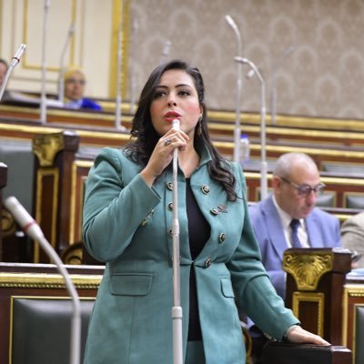 عضو مجلس النواب المصري عن تنسيقية شباب الأحزاب والسياسيين