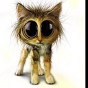 Sarah Morefield - @luvsnascar14 - Twitter