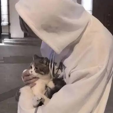 GOMlKASU_WORLD's profile picture. 