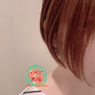 berry__DAIFUKU Profile Picture