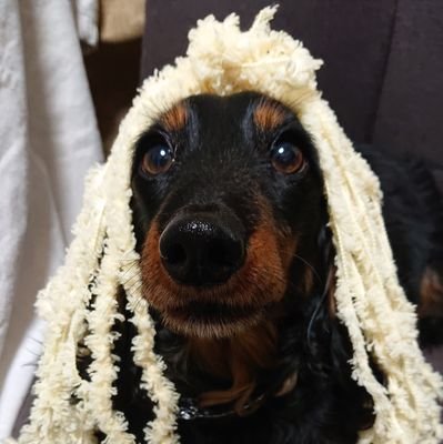 Bon Audrey@14ちょい顔出し中さんのプロフィール画像