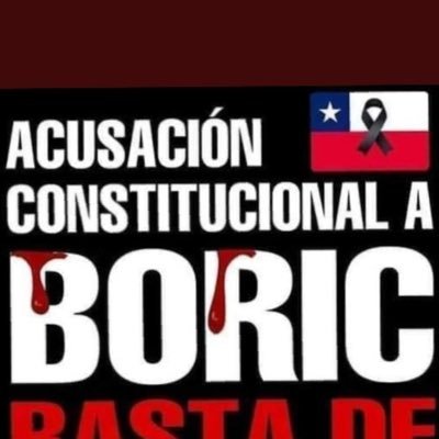 Madre, trabajadora, espíritu libre, anticomunista, muy patriota 🇨🇱 y con Dios en mi ❤️