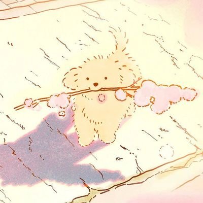 hshushushu1's profile picture. 