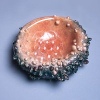 Fernando (@fernand40175911) 's Twitter Profile