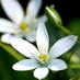 HOUBART Christine (@chhoubart) Twitter profile photo HOUBART Christine (@chhoubart) Twitter profile photo