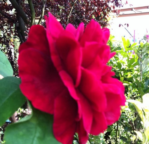 Uddinamin77's profile picture. 