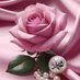 mona zaki (@mona_zaki_) Twitter profile photo mona zaki (@mona_zaki_) Twitter profile photo