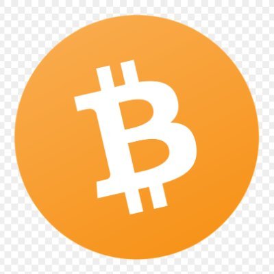 Bitcoin Maximalist!
