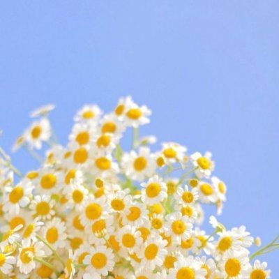 Eve_Una_'s profile picture. Pessimistic bitch that is always right