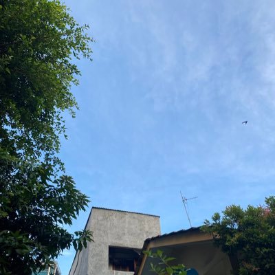 Dinisa_11's profile picture. ASR 💍