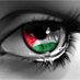 cira r. 🍉🇵🇸🇯🇴🇷🇸🇸🇾🇾🇪🇱🇧🇨🇺🇻🇪🦝🟥🟨🟪 (@cirar1) Twitter profile photo